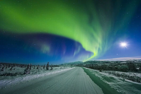 The Moon And Aurora Shine In The Night Sky Over A Snow Covered Richardson Highway South Of Delta Junction; Alaska, United States Of America