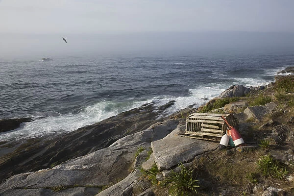 Old Wooden Lobster Trap And Buoys By Wild Roses, On Bluff Overlooking Atlantic Ocean, Pemaquid Peninsula; Maine, United States Of America