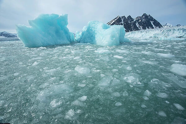 Pack ice off the cliff of the Monacobreen Glacier