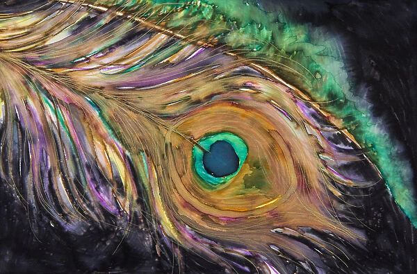 Painting Of A Colourful Feather