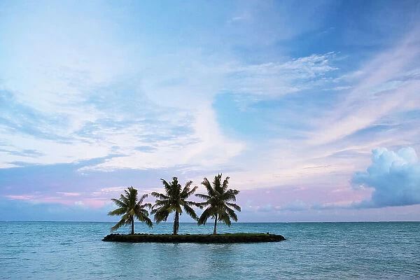 NA. Palm trees on a small island floating in the ocean
