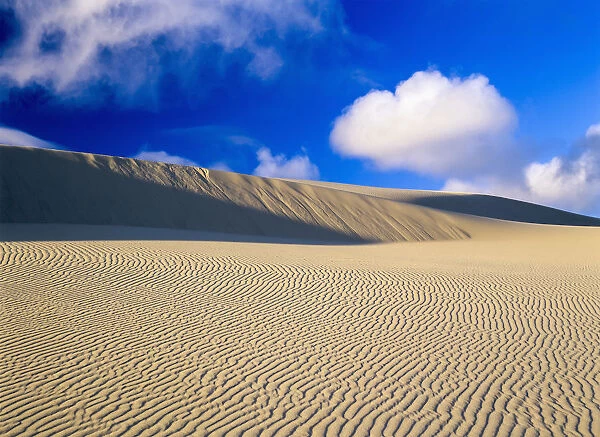 Rippled Sand And Dunes With Blue Sky And Cloud; Lakeside, Oregon, United States Of America