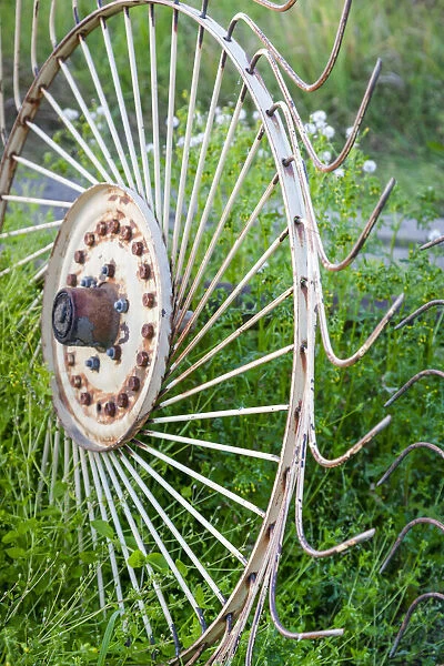 Rusty metal wheel with spokes on a grass field