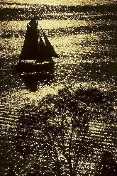 Sailboat on a sparkling river, Maryland, USA