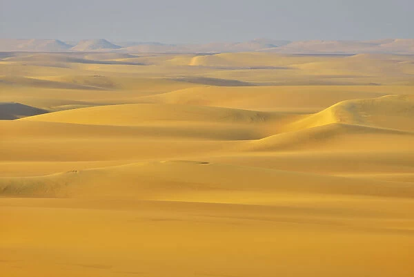 Sand Dunes, Matruh Governorate, Libyan Desert, Sahara Desert, Egypt, Africa
