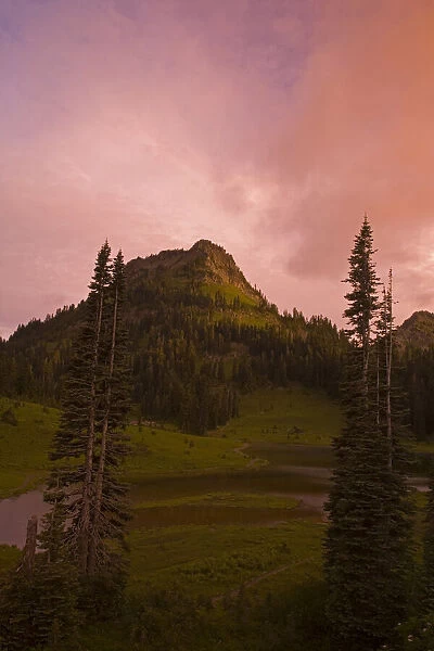 Sunrise beauty in Mount Rainier National Park, Washington, USA