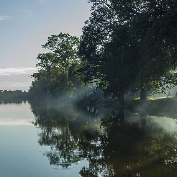 Tranquil Water Reflects Trees Along The Shoreline Through The Mist; Krong Siem Reap, Siem Reap Province, Cambo