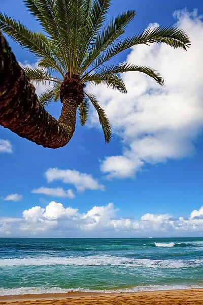 Tropical views from Waikiki Beach, Honolulu, Oahu, Hawaii, USA