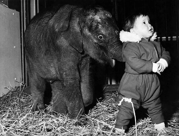 Little Lisa Roland is hoping this baby elephant will not forget she only a toddler, too