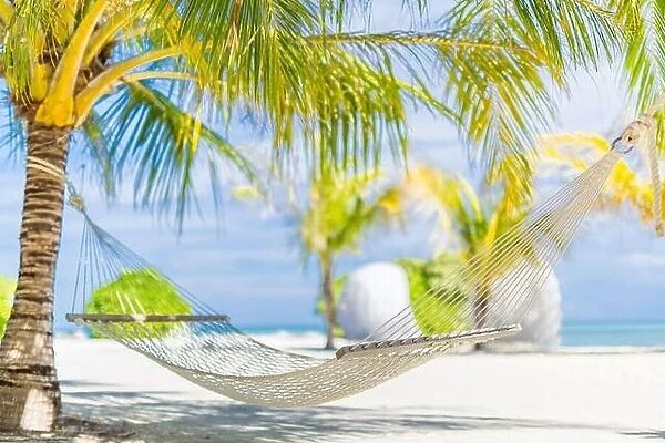 Beach hammock, artistic relaxing and calming summer mood. Exotic travel destination, luxury closeup, palm trees and hot summer vibes on beach