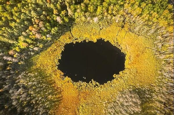 Braslaw Or Braslau, Vitebsk Region, Belarus. Aerial View Of Round Lake And Green Forest Landscape In Sunny Autumn Day. Top View Of Famous Lakes