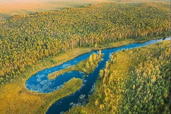 Domzheritsy, Vitebsk Region, Belarus. Buzyanka River. Aerial View Of Summer Curved River Landscape In Autumn Evening. Top View Of Beautiful European