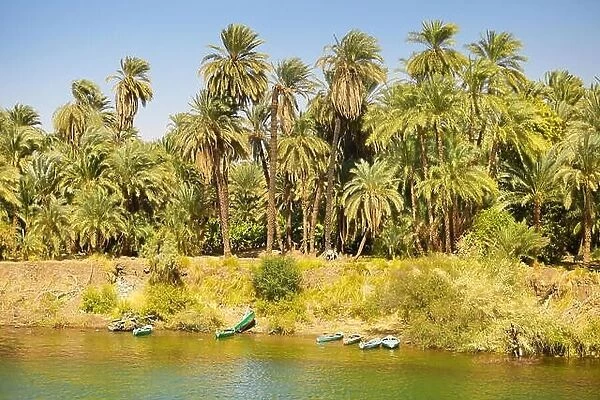 Egypt - bank of the Nile, riverside landscape of the valley of Nile, road to Aswan town, Egypt