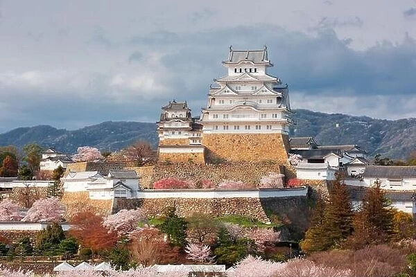 Himeji, Japan at Himeji Castle during spring cherry blossom season in the day