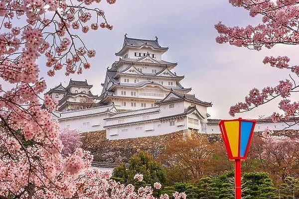 Himeji, Japan at Himeji Castle during spring cherry blossom season