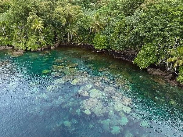 Lush jungle on a remote tropical island is fringed by a coral reef in the Solomon Islands. This country is home to spectacular marine biodiversity