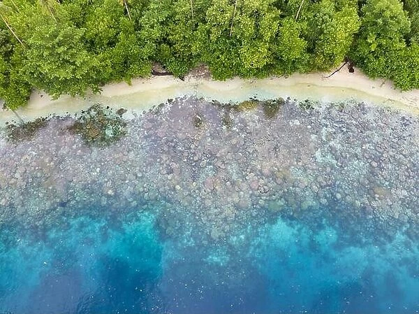 A lush, tropical island is fringed by a coral reef in the Solomon Islands. This beautiful country is home to spectacular marine biodiversity