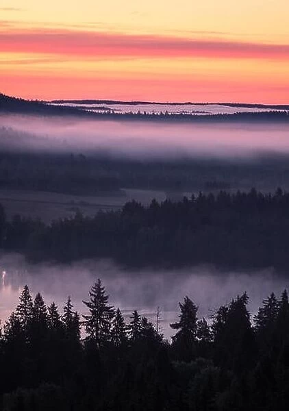 Scenic foggy landscape with mood forest at summer morning at National park, Finland. High angle aerial view