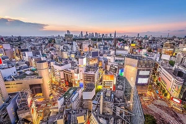 Shibuya, Tokyo, Japan crosswalk and cityscape