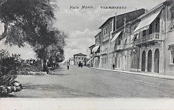 Animated view of Viale Manin in Viareggio; postcard