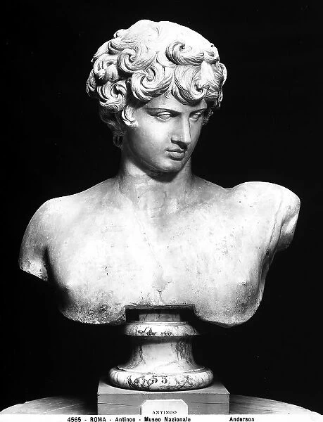Antinous, now preserved in the National Museum of Rome, Rome