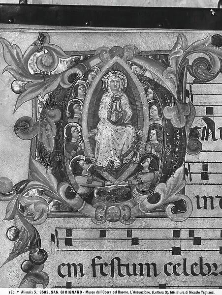 The Assumption of the Virgin by Niccol di Ser Sozzo Tegliacci: historiated Antiphonary initial preserved in the Collegiate Church of San Gimignano