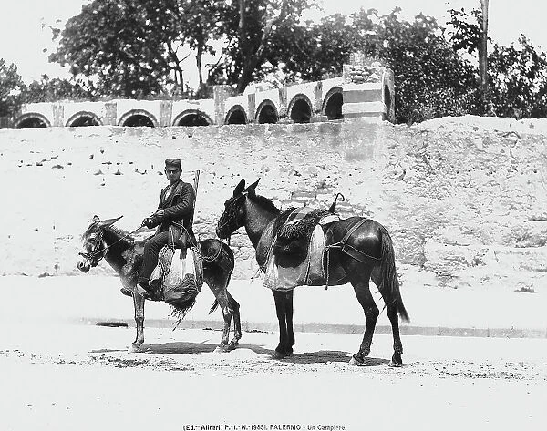 A 'campiere, ' or armed and mounted field guard, riding a donkey, Palermo, Sicily