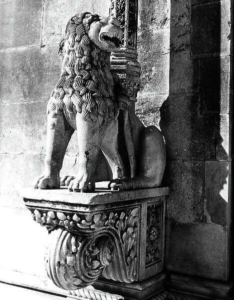 Column-bearing lion, detail of the portal of the Cathedral of St. James in Sibenik