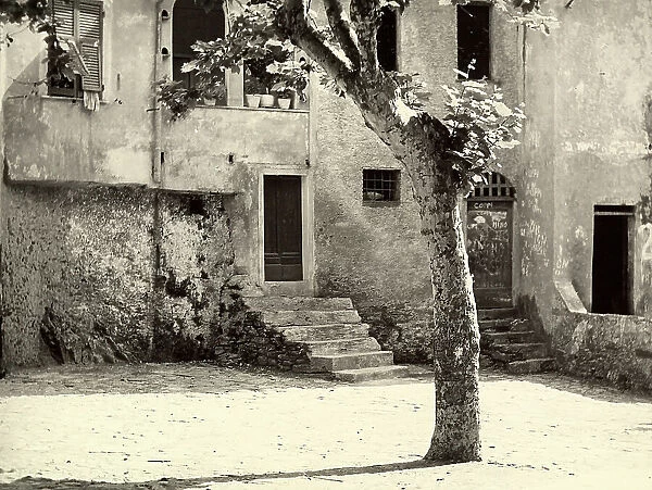 Exterior of an old house with a wall covered in writing. A tree casts its long shadow across the photo