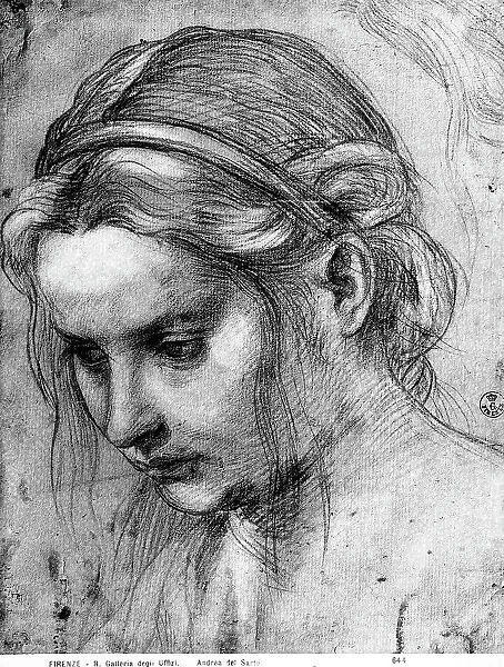 Female face with mussed hair looking down. Work by Andrea del Sarto preserved in the Room of Drawings and Prints in the Museum of the Uffizi