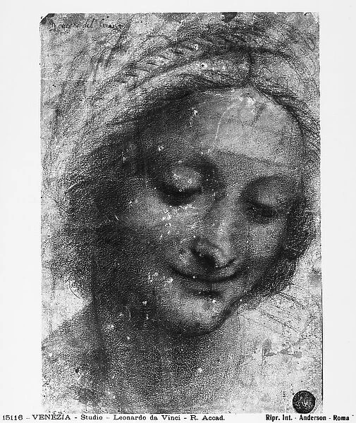 Head of St. Anne. Drawing by Leonardo da Vinci housed in Gallerie dell'Accademia, Venice