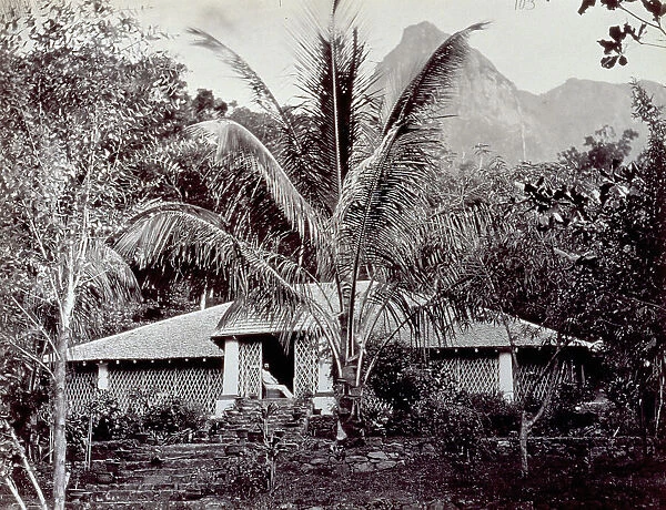 A house in Kandy, Ceylon (Sri-Lanka), immersed in the vegetation; inside, sitting on a small armchair, a man can be identified. In the foreground, the garden in front of the house; a rocky mountain in the background