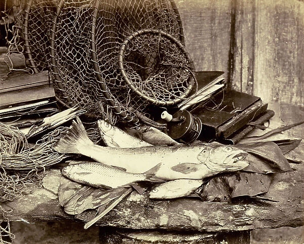 Still life with carp and small net