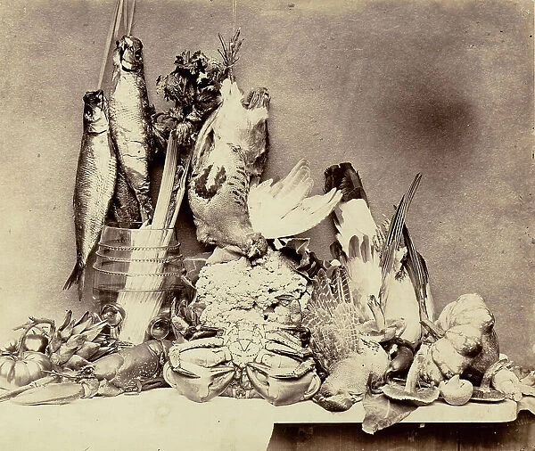 Still life with fish, birds and vegetables