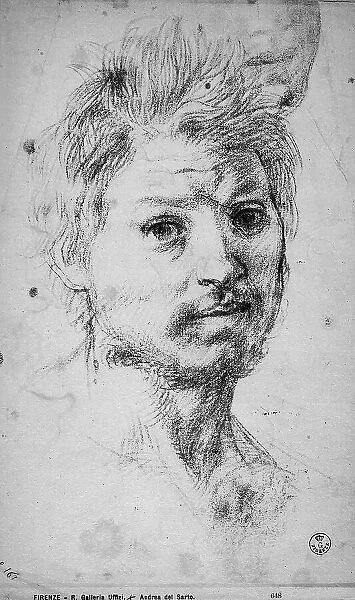 Male portrait. Drawing by Andrea del Sarto, in the Gabinetto dei Disegni e delle Stampe, at the Uffizi Gallery in Florence