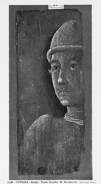 Male portrait. Drawing by Paolo Uccello preserved in the Galleries of the Academy, Venice