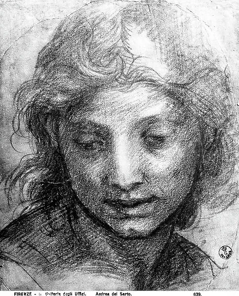 Portrait of a young man, drawing by Andrea del Sarto housed in Room of Drawings and Prints, Uffizi Gallery, Florence