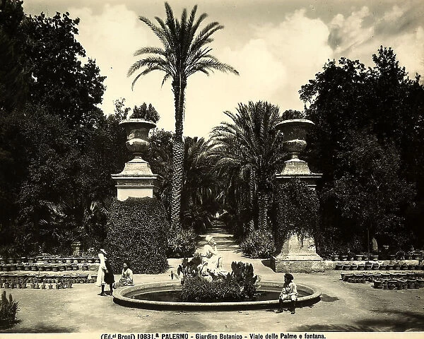 Viale delle Palme and the fountain in the Botanical Garden of Palermo