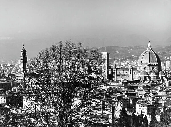View of Florence with Palazzo Vecchio and the Cathedral of Santa Maria del Fiore