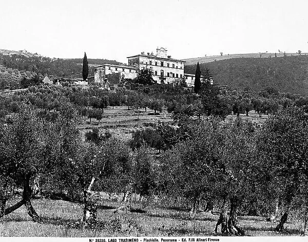 View of the town of Pischiello, environs of Lake Trasimeno. Below are some olive trees, while on the hills, a beautiful palazzo is visible. On the facade, the central body and lower sides are visible