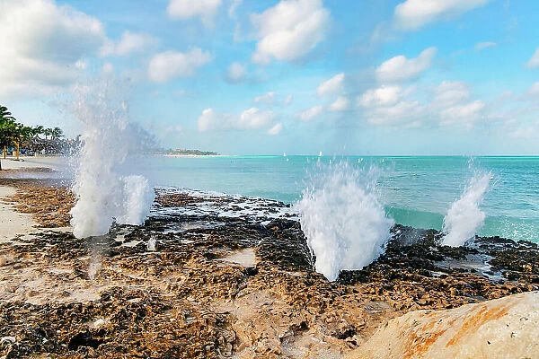 Aruba, Water Holes next to Eagle Beach