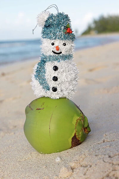Barbados, snowman on top of a coconut at the beach
