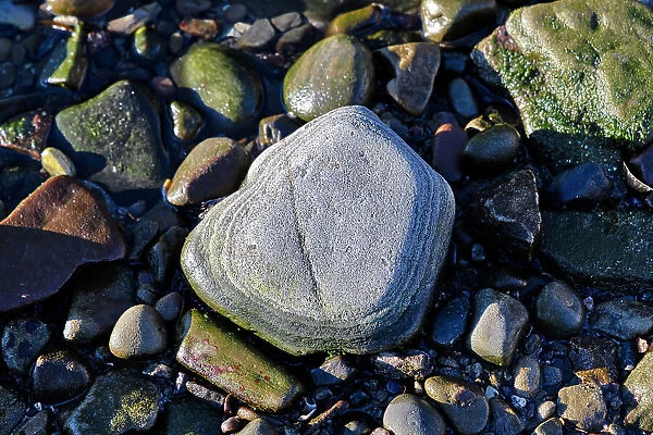 Closeup of rock