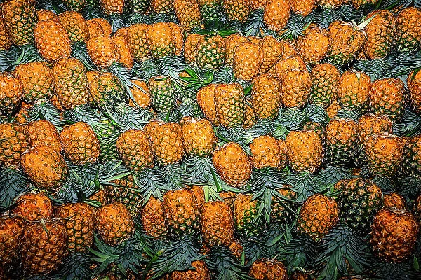 Colombia, Bunch of Pineapples