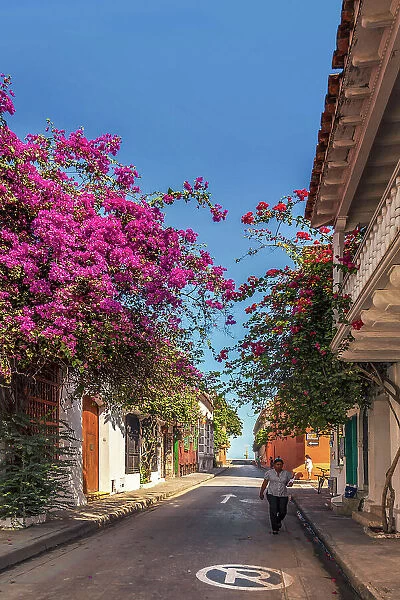Colombia, Cartagena, old town typical street
