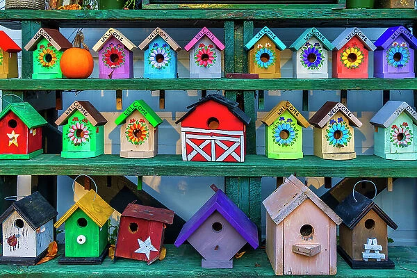 Colorful Bird houses