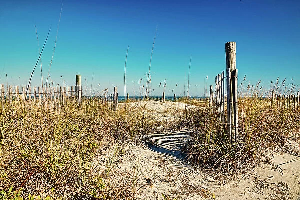 Georgia, Tybee Island, beach scene with wooden fence on sand dunes