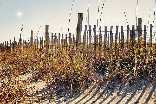 Georgia, Tybee Island, wooden fence and sand dunes