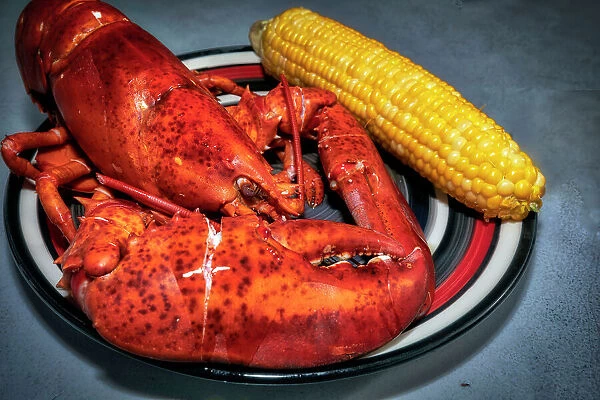 Maine, Trenton, Fresh Cooked Lobster Displayed
