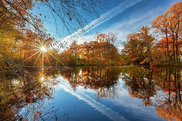 New York, Bayville, Autumn Scene at Bailey Arboretum